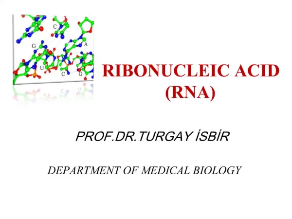 RIBONUCLEIC ACID RNA