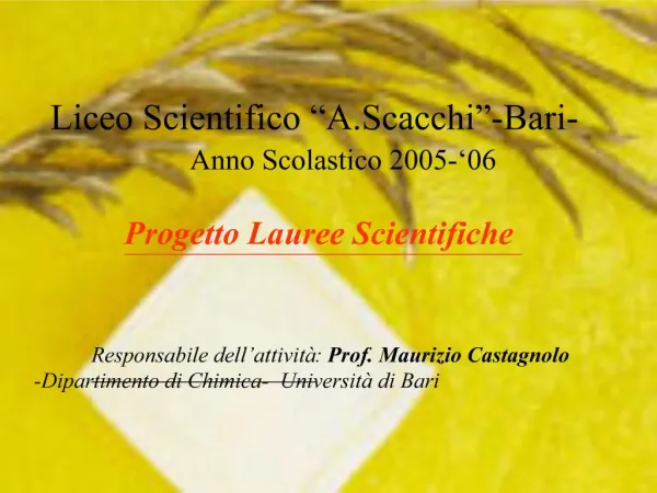 Liceo Scientifico A.Scacchi -Bari- Anno Scolastico 2005- 06 Progetto Lauree Scientifiche