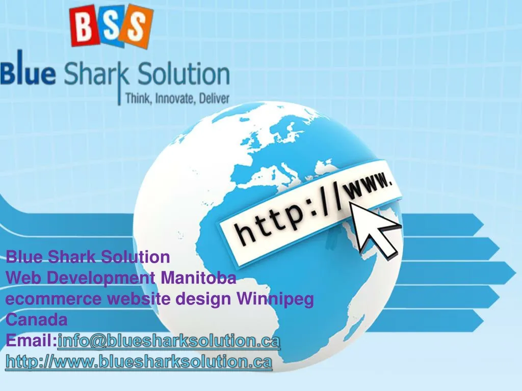 blue shark solution web development manitoba