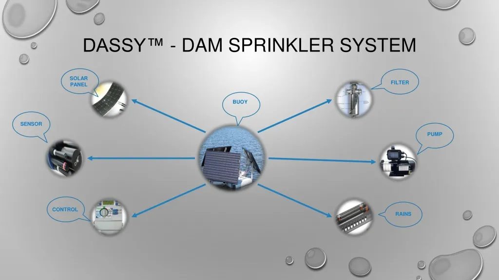 dassy dam sprinkler system
