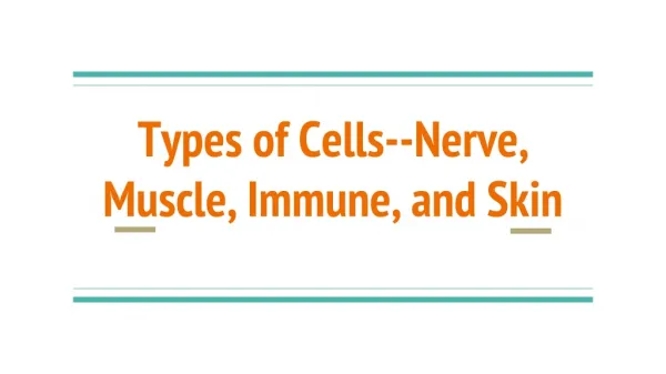 Types of Cells--Nerve, Muscle, Immune, and Skin