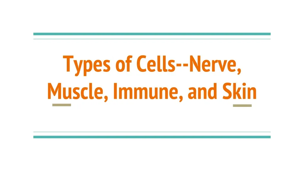 types of cells nerve muscle immune and skin