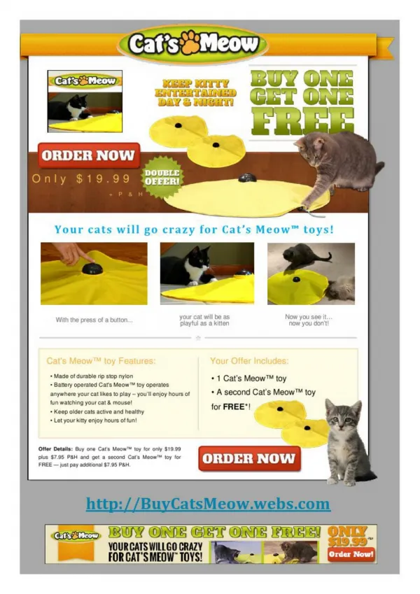 Buy Cats Meow and Give Your Pet the Gift of Unending Fun