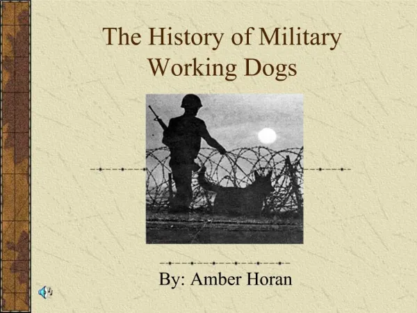 The History of Military Working Dogs