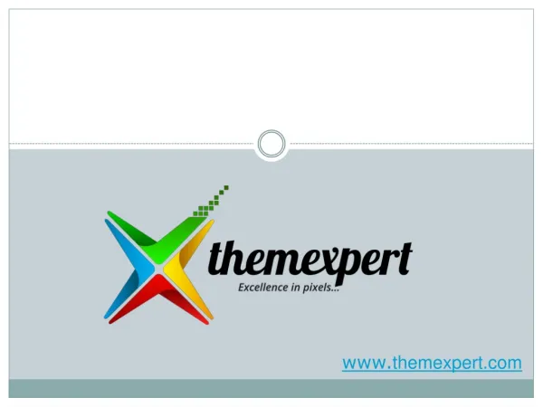 ThemeXpert - Crunch Social Business Template