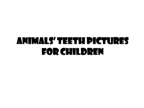 Animals Teeth Pictures for Children
