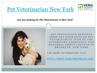 pet veterinarian new york , brooklyn