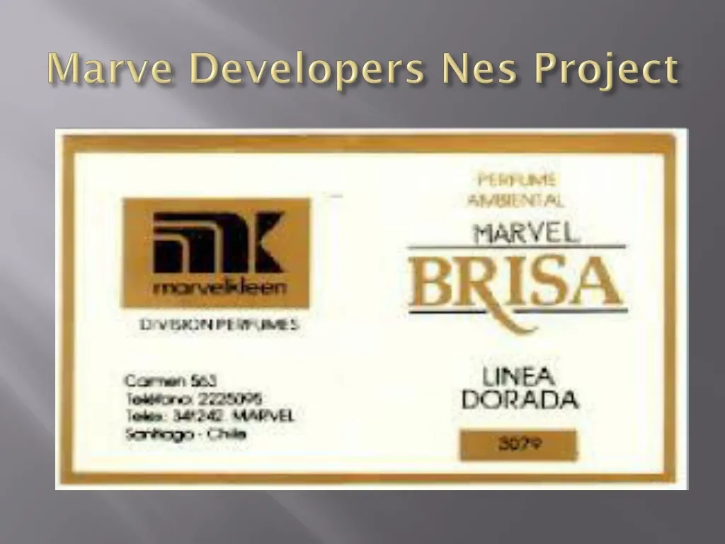 marve developers nes project