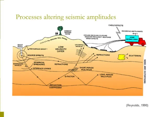 Processes altering seismic amplitudes