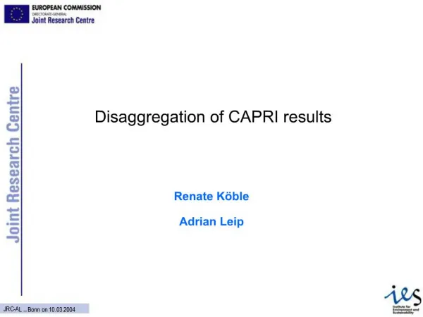 Disaggregation of CAPRI results