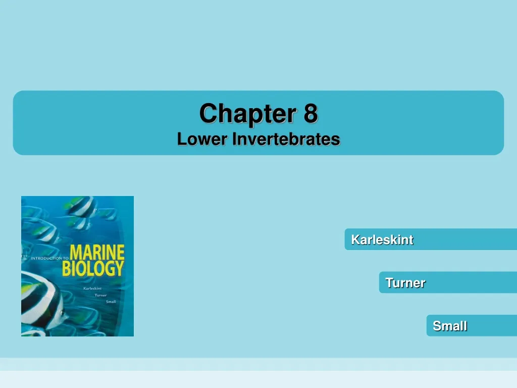 chapter 8 lower invertebrates