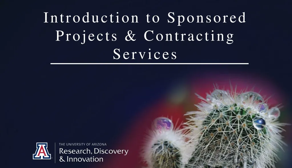 introduction to sponsored projects contracting