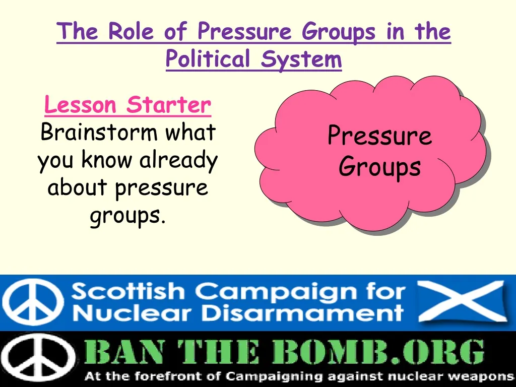 the role of pressure groups in the political