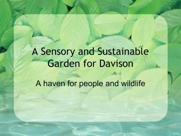A Sensory and Sustainable Garden for Davison