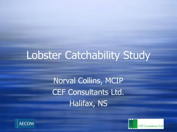 Lobster Catchability Study