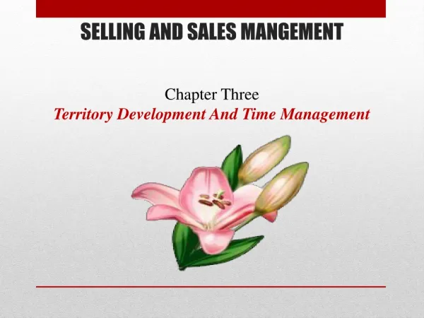 SELLING AND SALES MANGEMENT Chapter Three Territory Development And Time Management