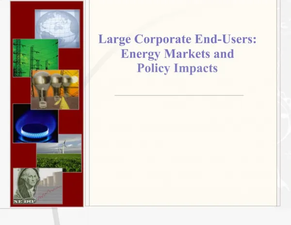Large Corporate End-Users: Energy Markets and Policy Impacts
