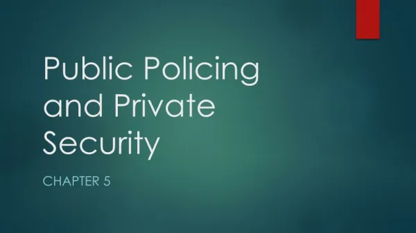 Public Policing and Private Security