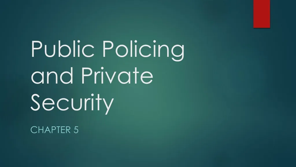 public policing and private security
