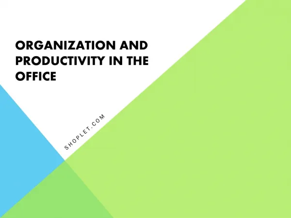 Organization and Productivity In The Office
