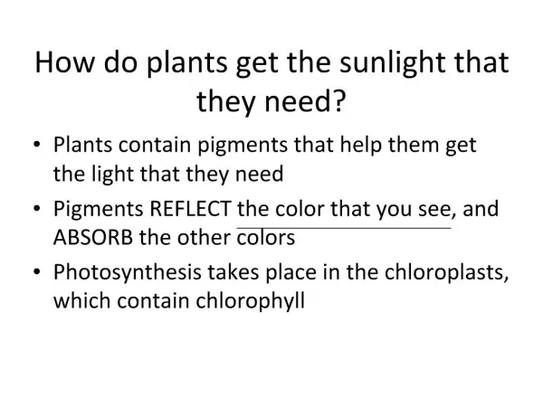 How do plants get the sunlight that they need