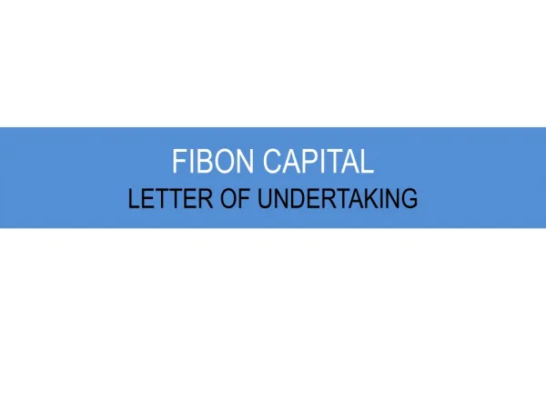 FIBON CAPITAL -LETTER OF UNDERTAKING