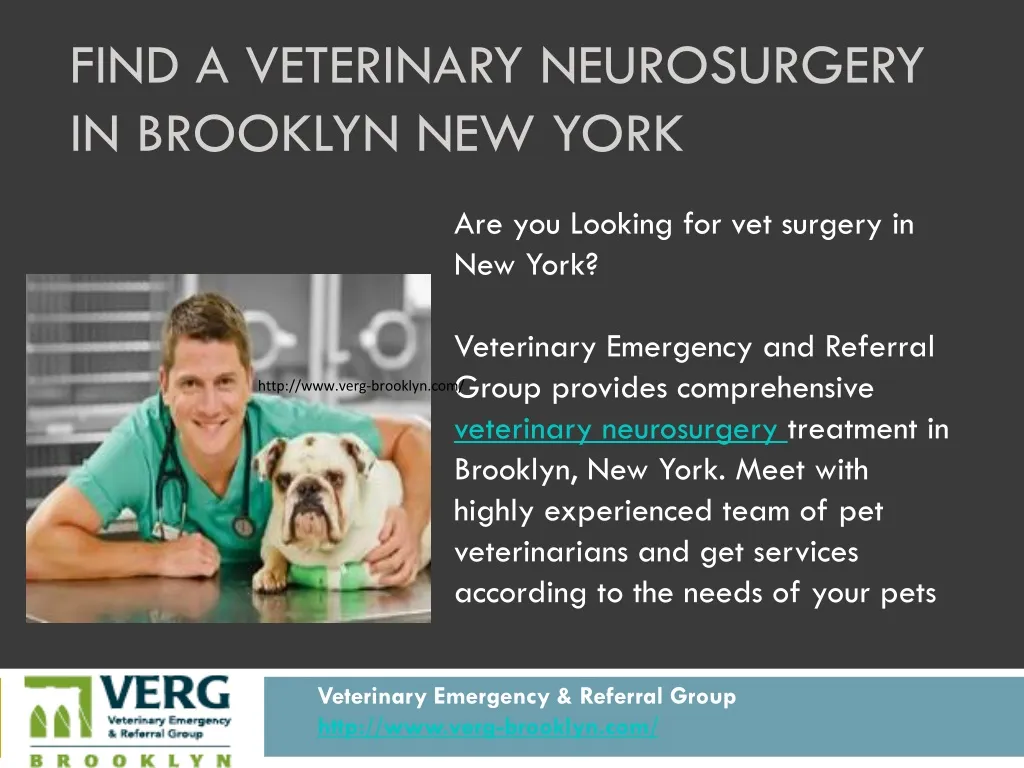 find a v eterinary neurosurgery in brooklyn n ew york