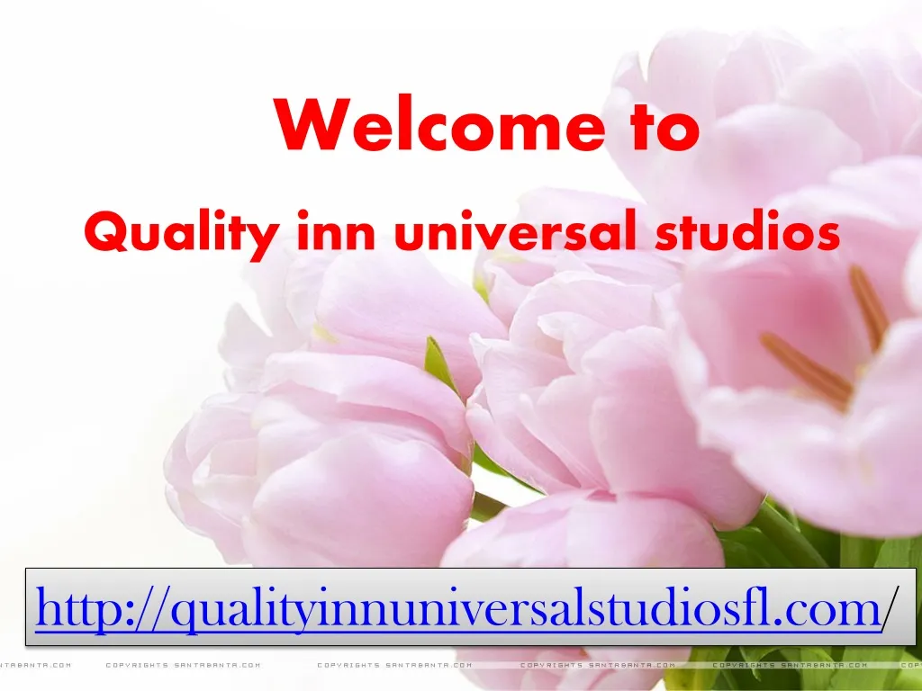 welcome to quality inn universal studios