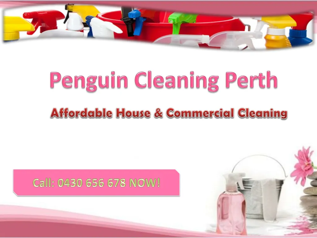 penguin cleaning perth