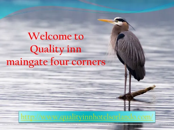 quality inn maingate four corners