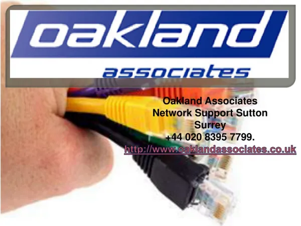 The Great in IT Support - Network Support Sutton