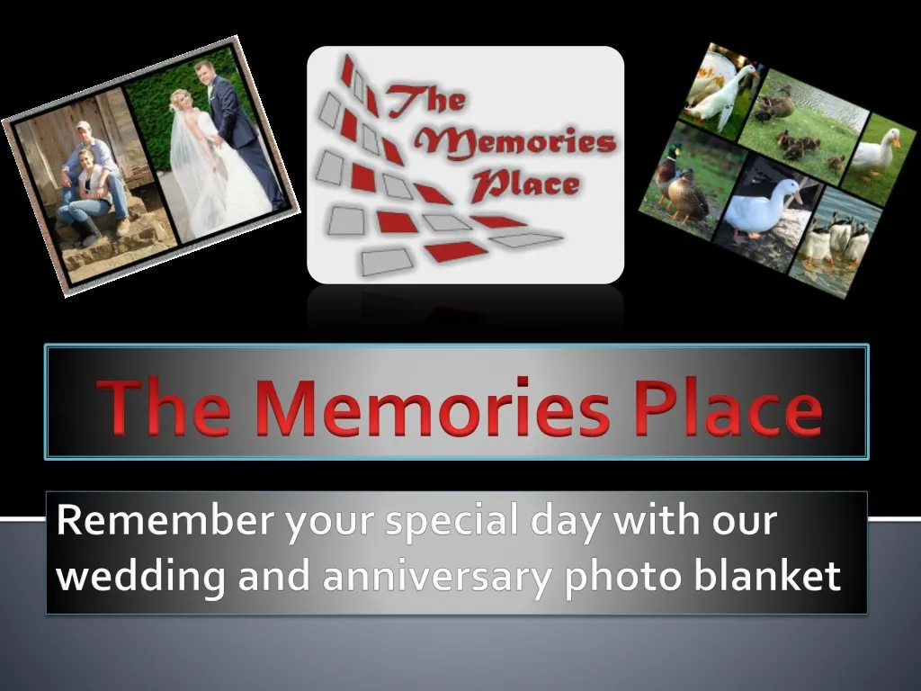 the memories place