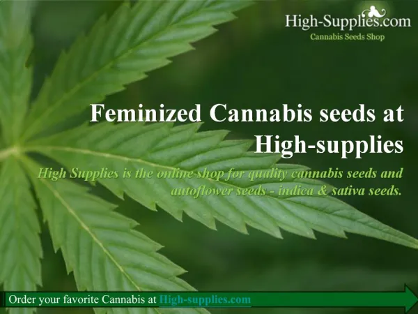 Quality cannabis seeds and autoflower seeds at High-supplies