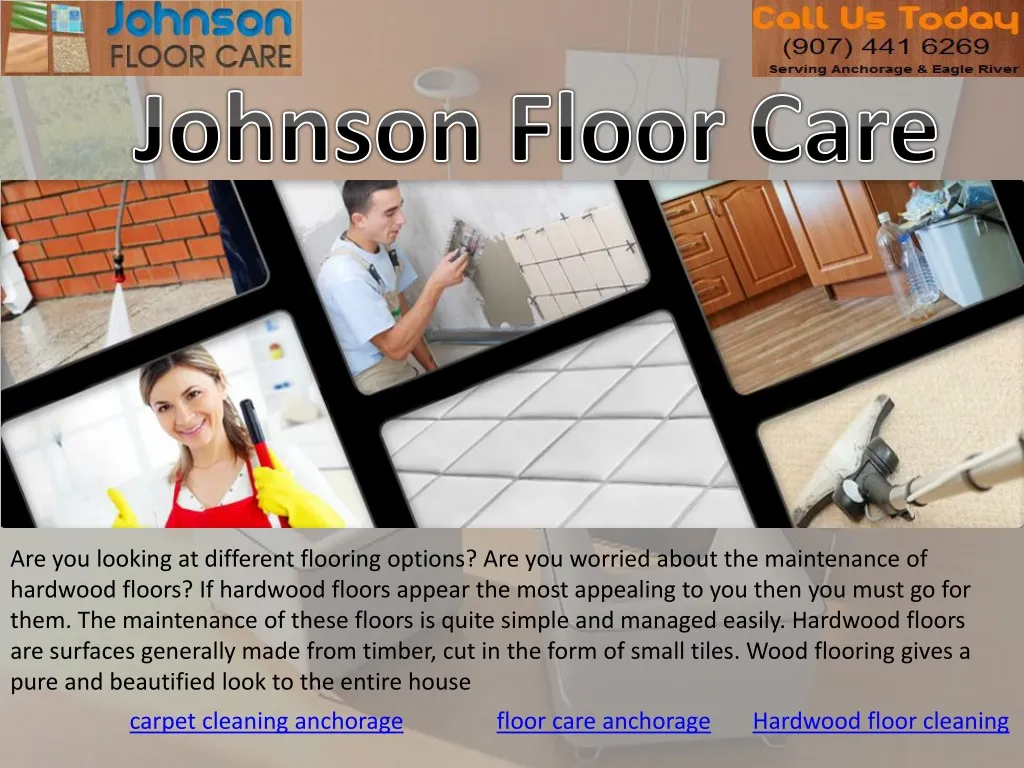 johnson floor care
