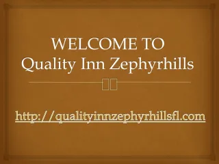 hotel in zephyrhills fl