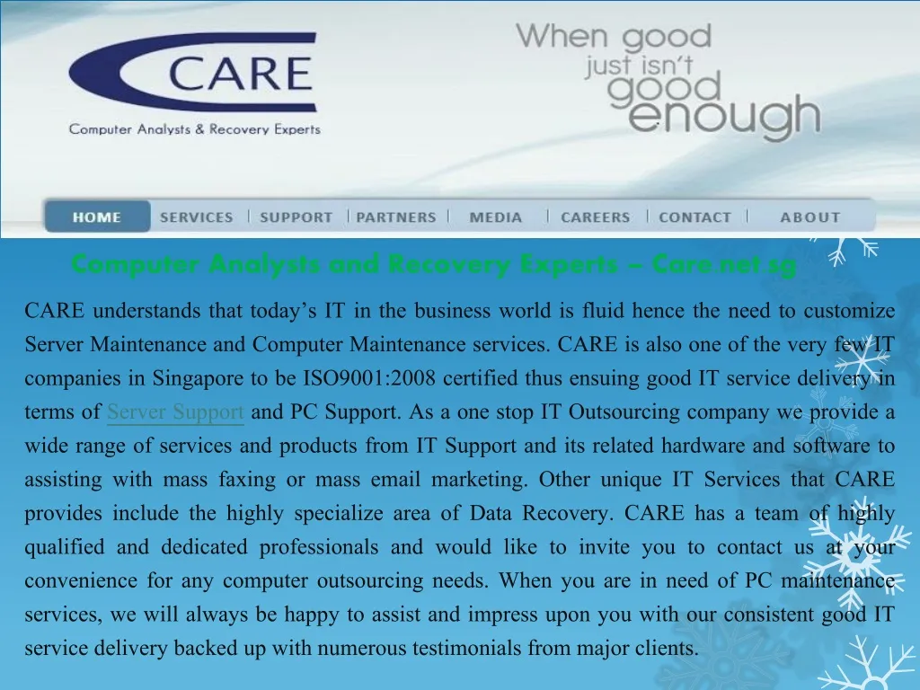 computer analysts and recovery experts care net sg