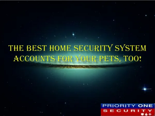 The Best Home Security System Accounts for Your Pets, Too!