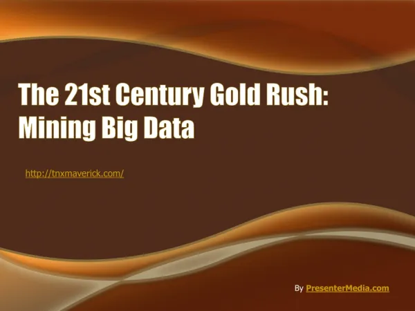 The 21st Century Gold Rush: Mining Big Data