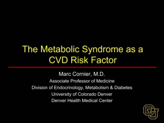 The Metabolic Syndrome as a CVD Risk Factor - slide 1