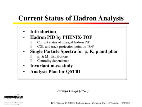 Current Status of Hadron Analysis