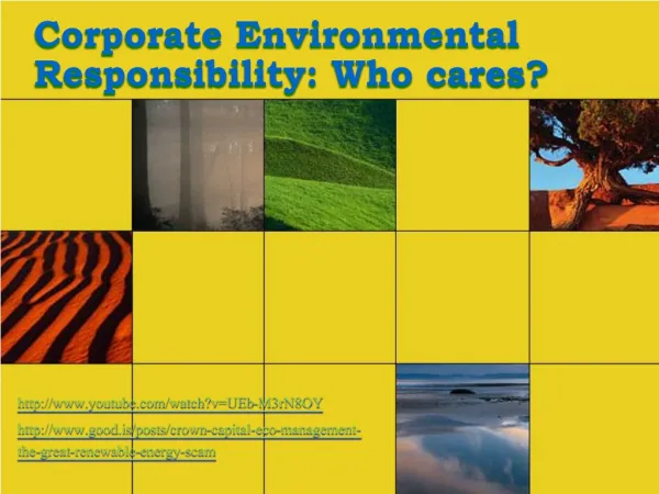 Corporate Environmental Responsibility: Who cares?