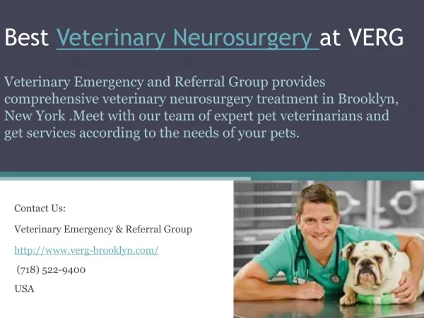 Best veterinary neurosurgery at verg
