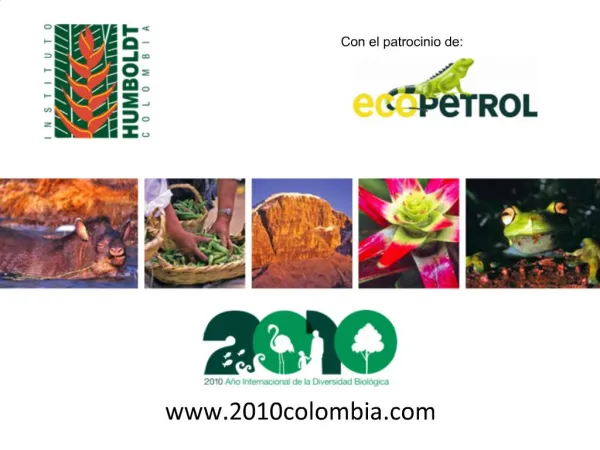 2010colombia