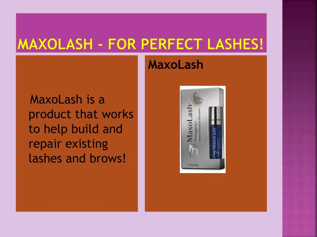 maxolash for perfect lashes