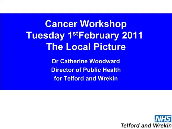 Cancer Workshop Tuesday 1st February 2011 The Local Picture