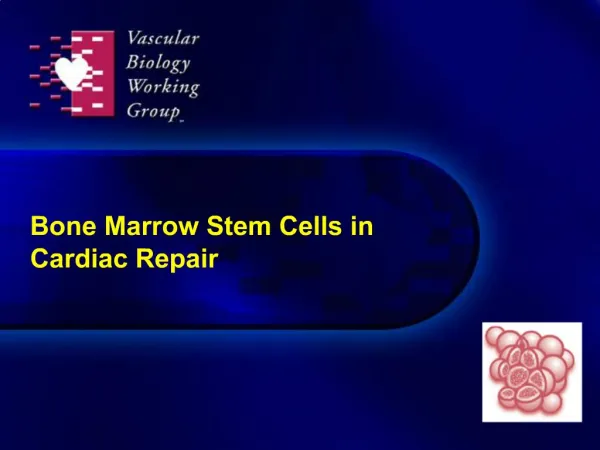 Bone Marrow Stem Cells in Cardiac Repair