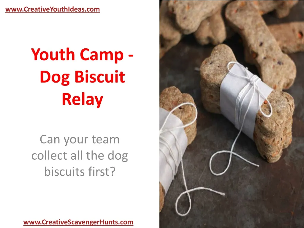youth camp dog biscuit relay