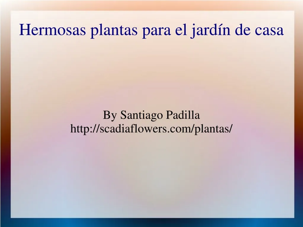 by santiago padilla http scadiaflowers com plantas