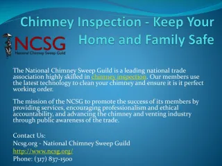 chimney inspection