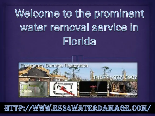 The prominent water removal service in Florida